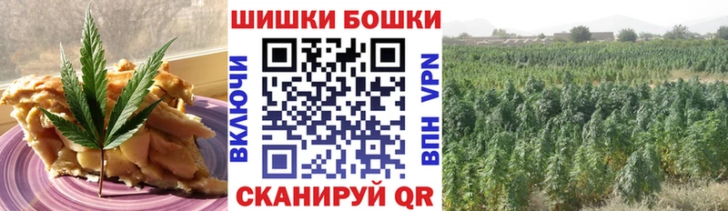 кракен онион  продажа наркотиков  Новоульяновск  Cannafood конопля 