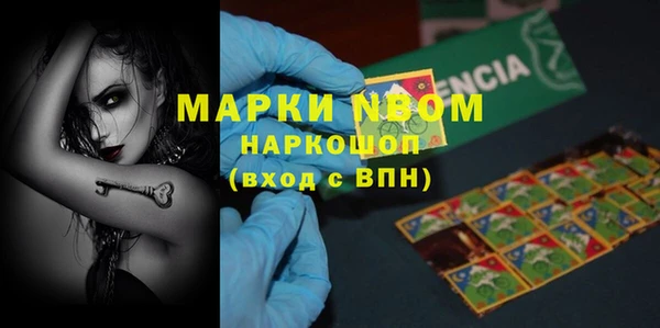 прущие грибы Аркадак
