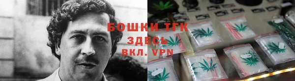 прущие грибы Аркадак