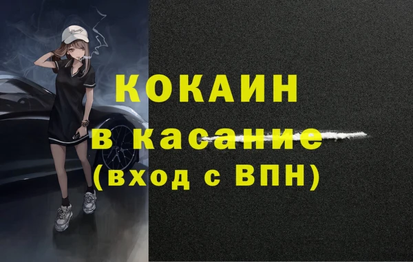 прущие грибы Аркадак