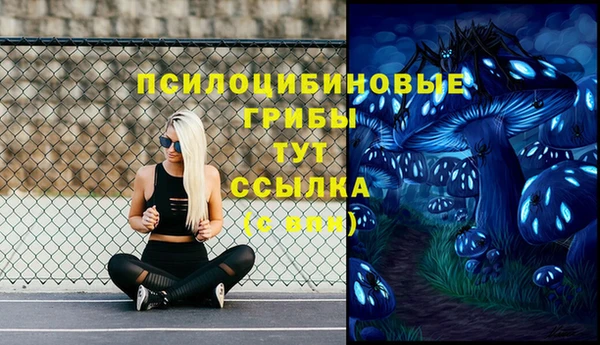 амф Арсеньев