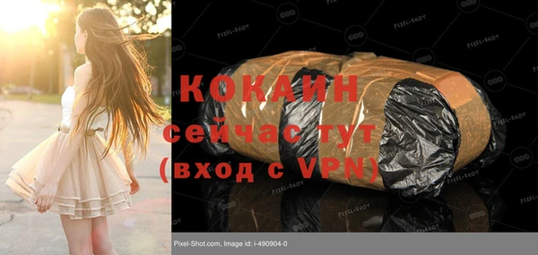 прущие грибы Аркадак
