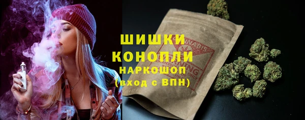амф Арсеньев